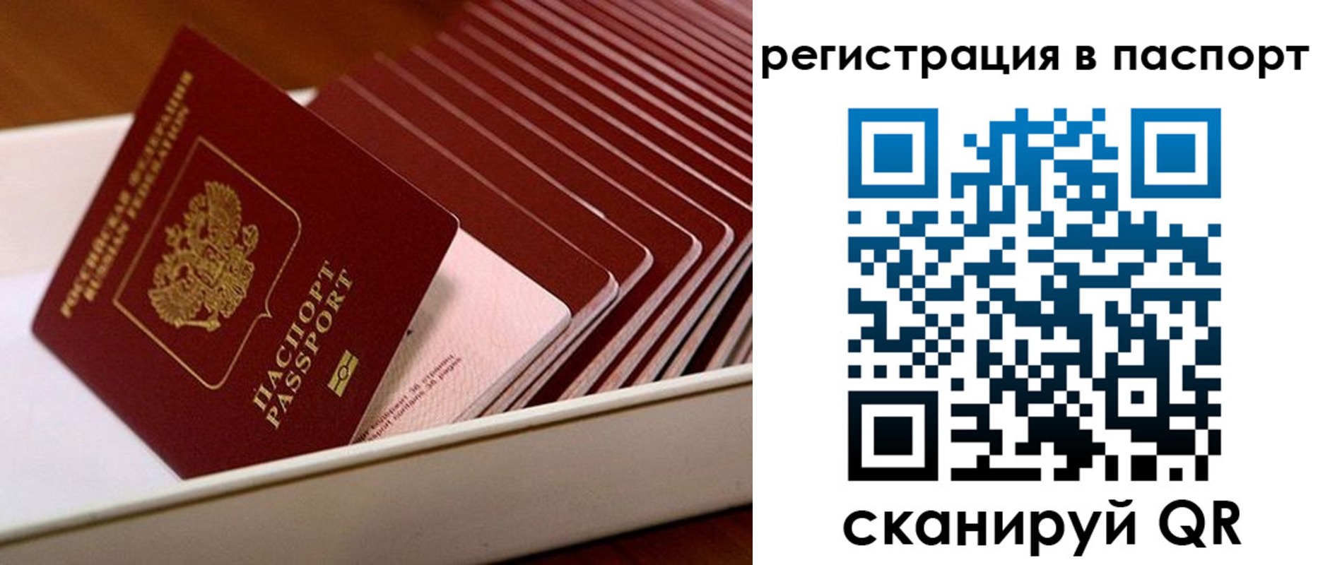 форма 3 в Курганской области